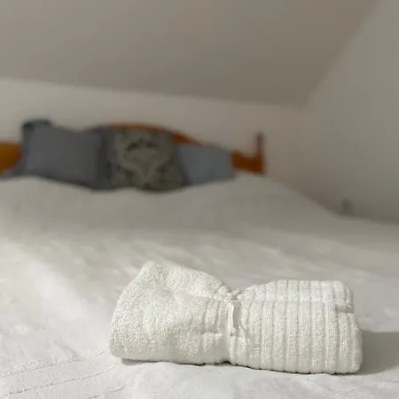 Guest house Volgy Major