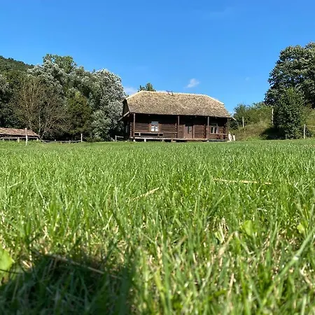 Volgy Major Guest house