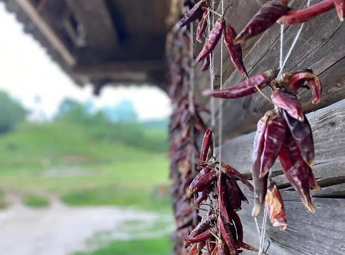 Volgy Major Kismaros