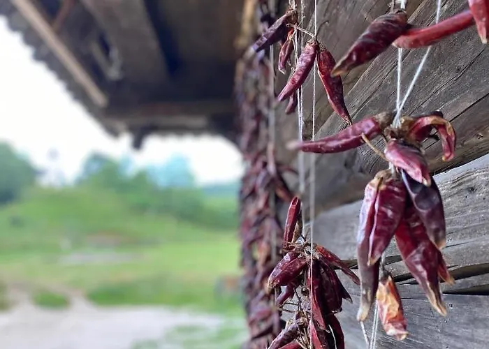 Volgy Major * Kismaros