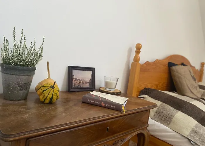 Pensjonat Volgy Major