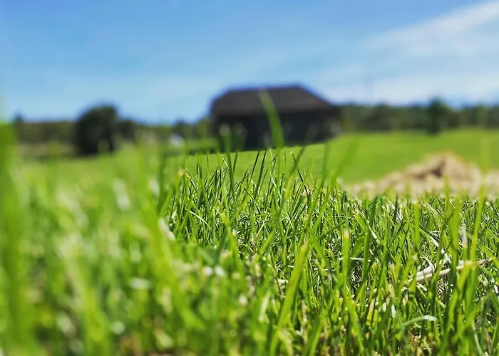 Volgy Major Kismaros