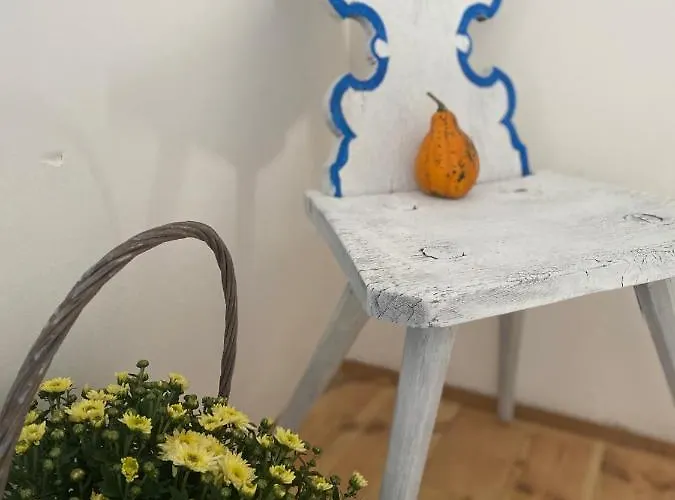 Pensjonat Volgy Major