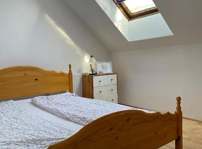 Pensjonat Volgy Major *