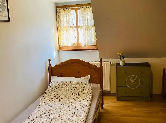 Pensjonat Volgy Major *