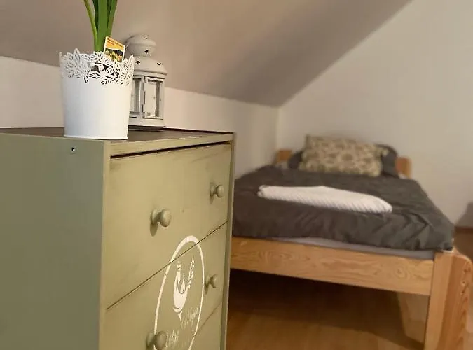 Pensjonat Volgy Major